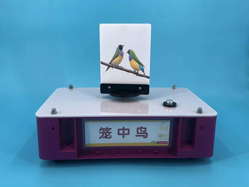 籠中鳥