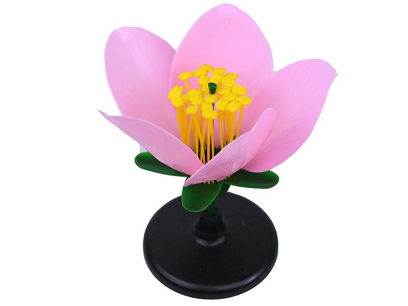 桃花模型