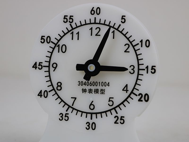 鐘表模型（學(xué)生二針）