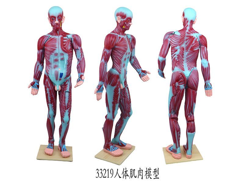 教學(xué)儀器的應(yīng)用