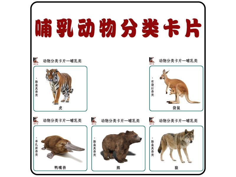 分類(lèi)卡片