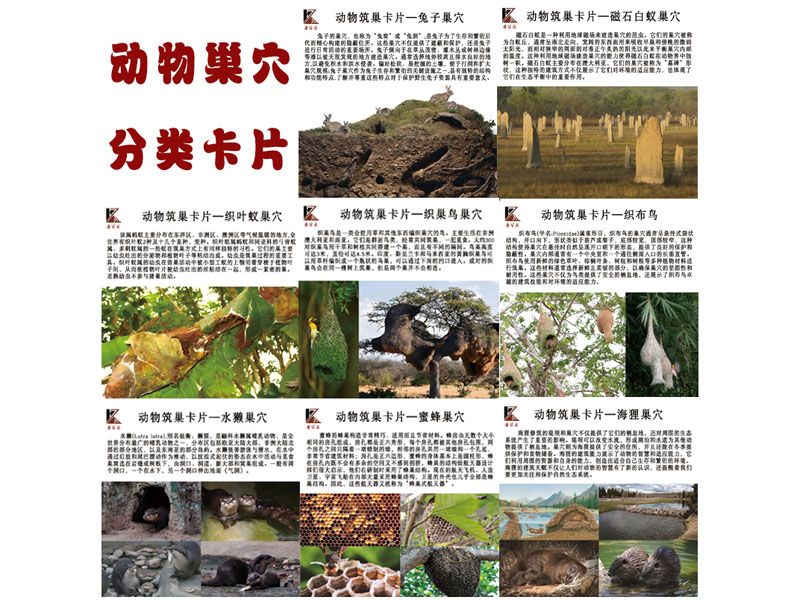 分類卡片