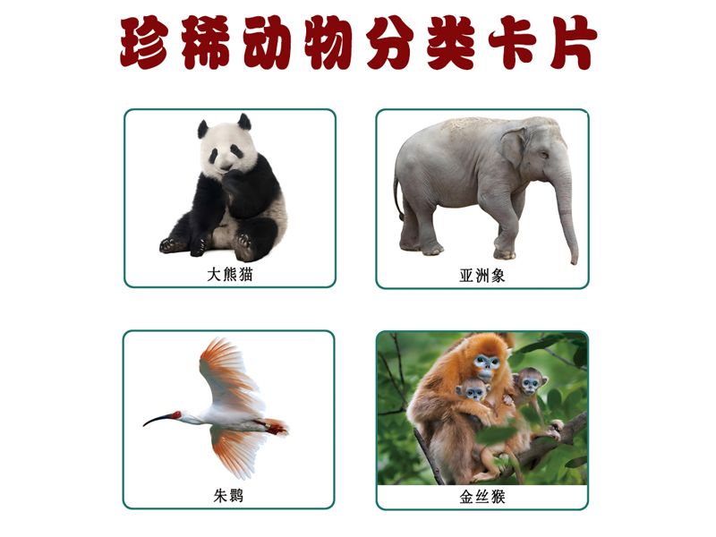 分類卡片